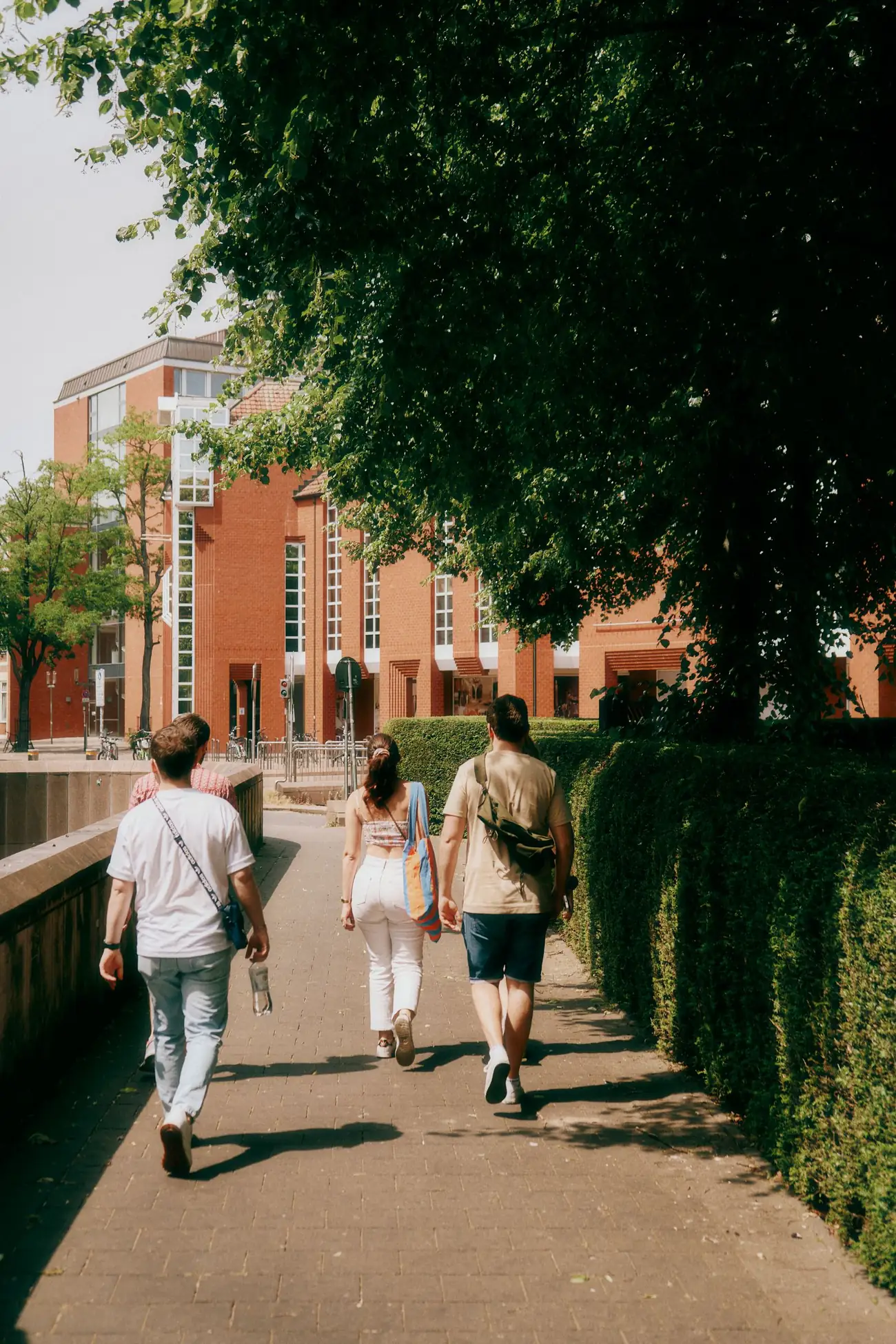 Students on a tree-lined university walkway